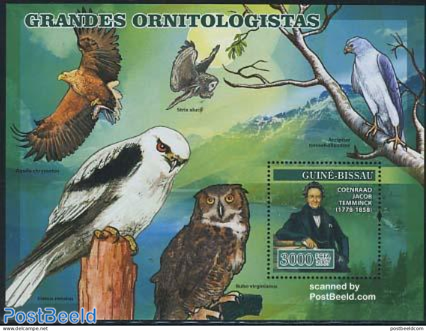 Guinea Bissau 2007 C.J. Temminck, Birds S/s, Mint NH, History - Nature - Netherlands & Dutch - Birds - Birds Of Prey -.. - Geographie