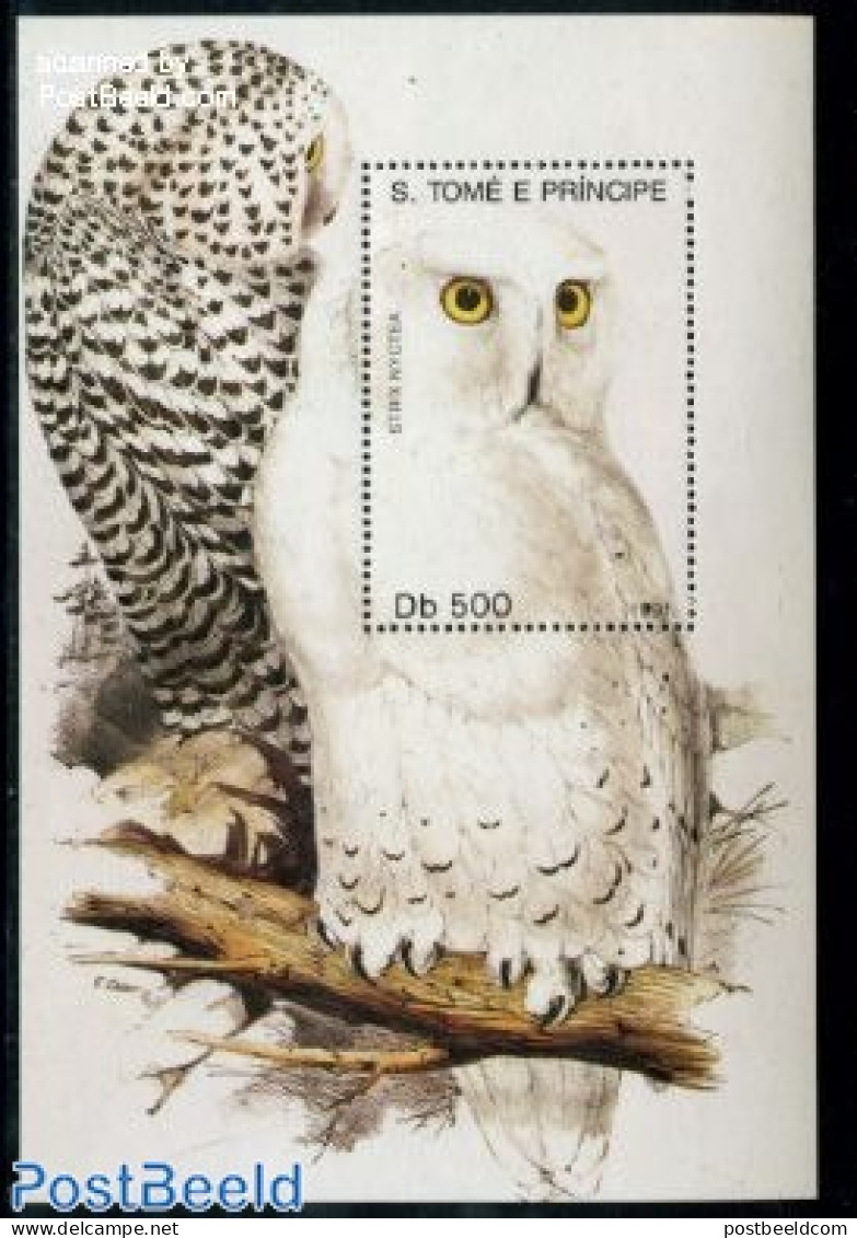 Sao Tome/Principe 1991 Snow Owl S/s, Mint NH, Nature - Birds - Birds Of Prey - Owls - Sao Tomé E Principe