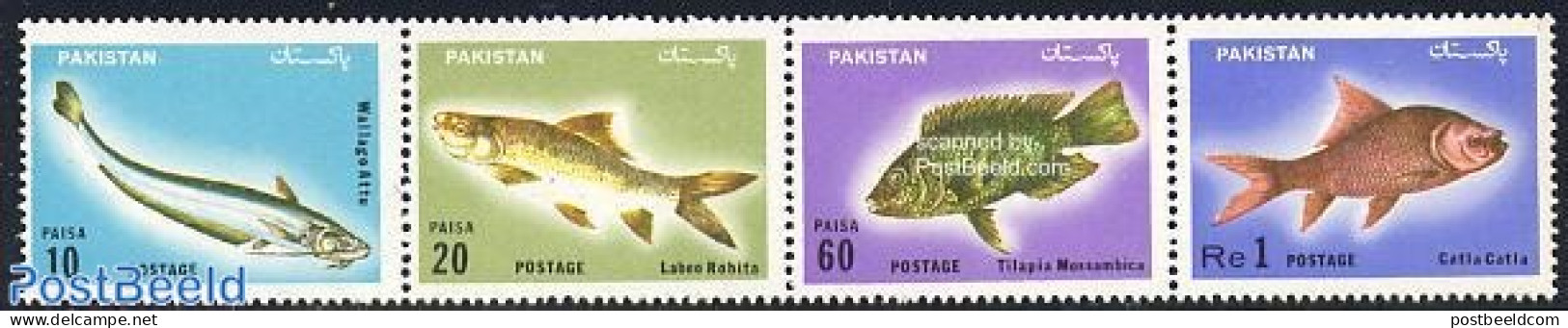 Pakistan 1973 Fish 4v [:::], Mint NH, Nature - Fish - Fishes