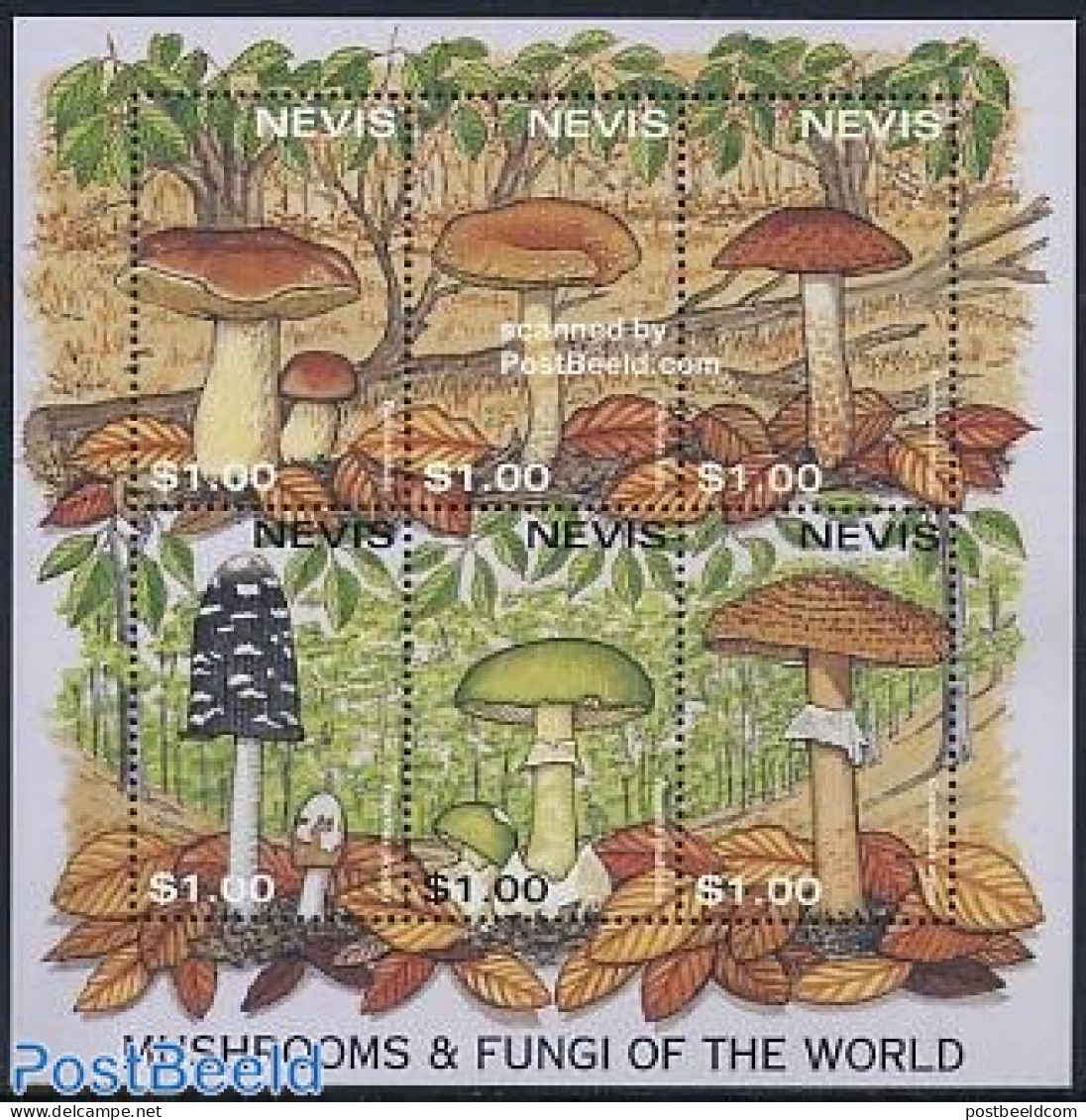 Nevis 1997 Mushrooms 6v M/s (6x1.00), Mint NH, Nature - Mushrooms - Pilze