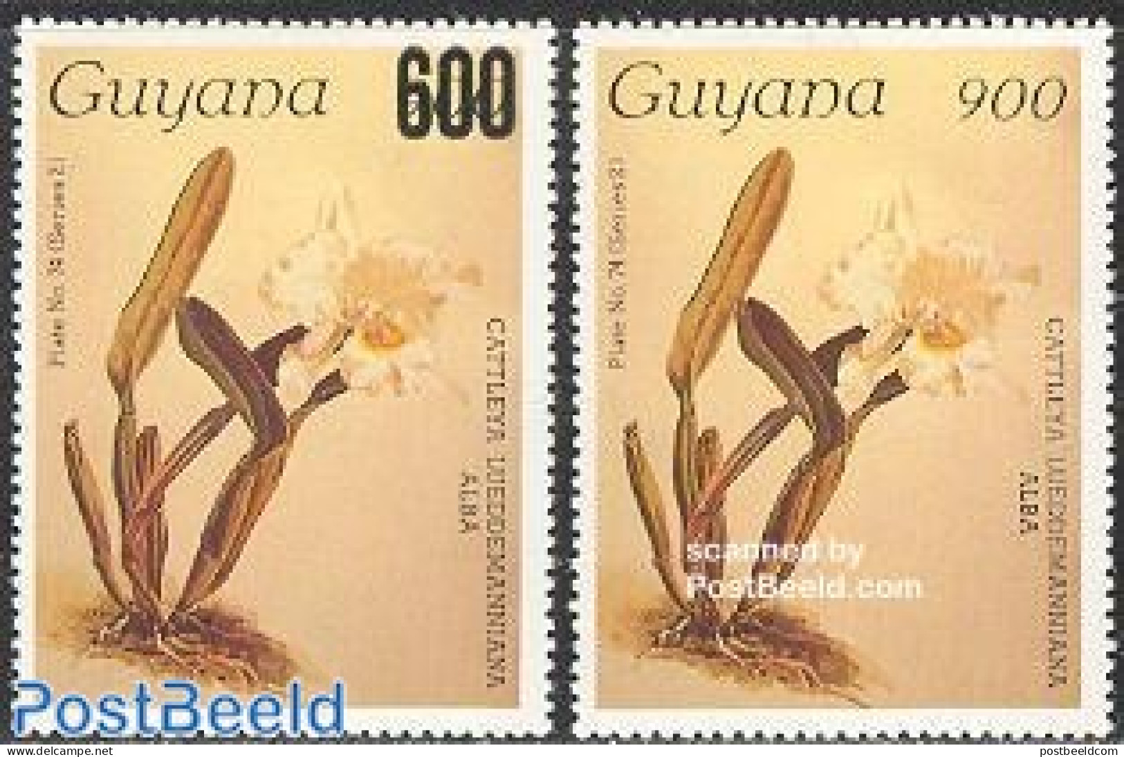 Guyana 1987 Orchids 2v, Mint NH, Nature - Flowers & Plants - Orchids - Guyana (1966-...)