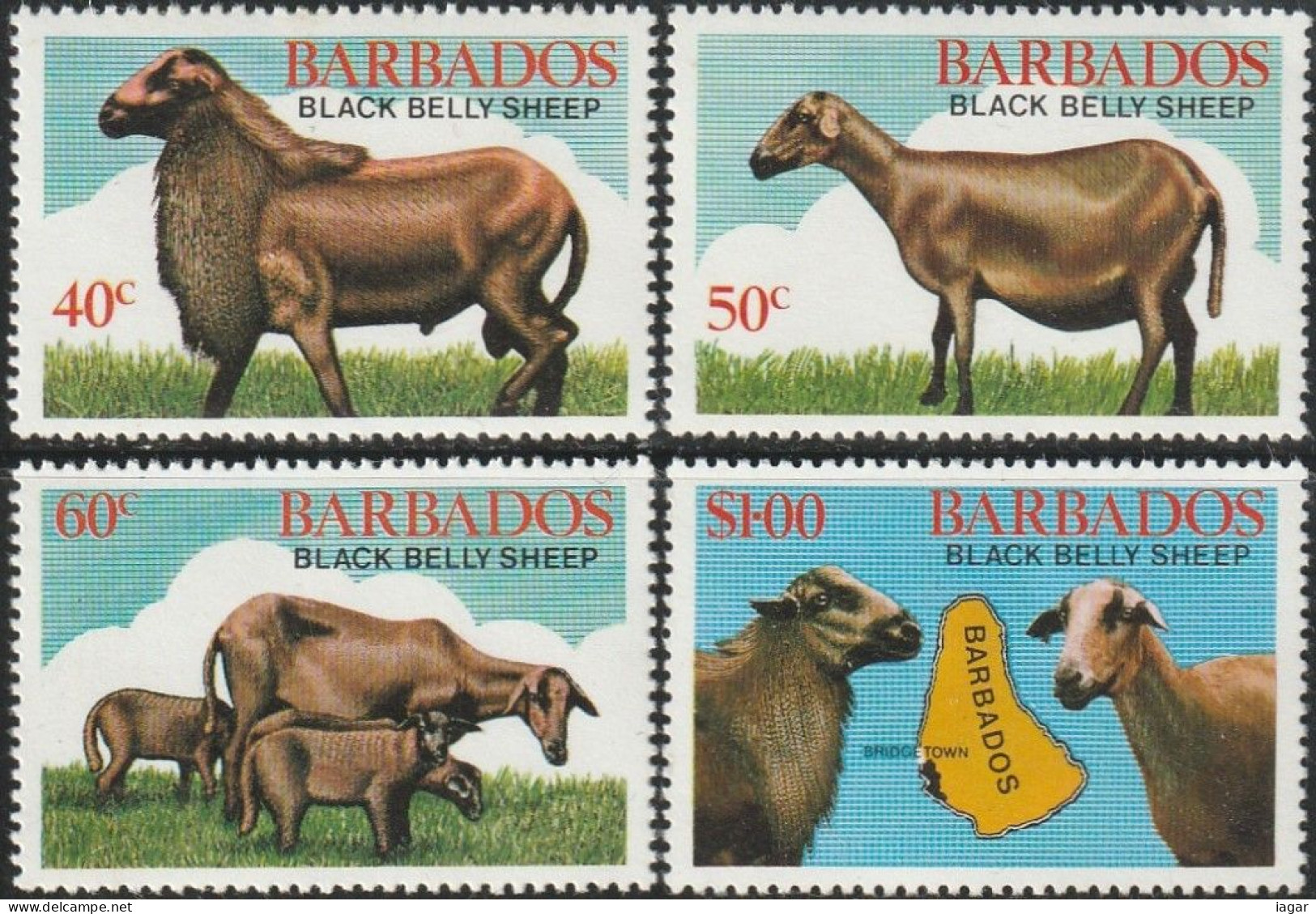 THEMATIC FAUNA:  BLACK BELLY SHEEP. BLACK BELLY RAM, BLACK BELLY EWE, EWE WITH LAMBS, RAM AND EWE, MAP OF       BARBADOS - Altri & Non Classificati