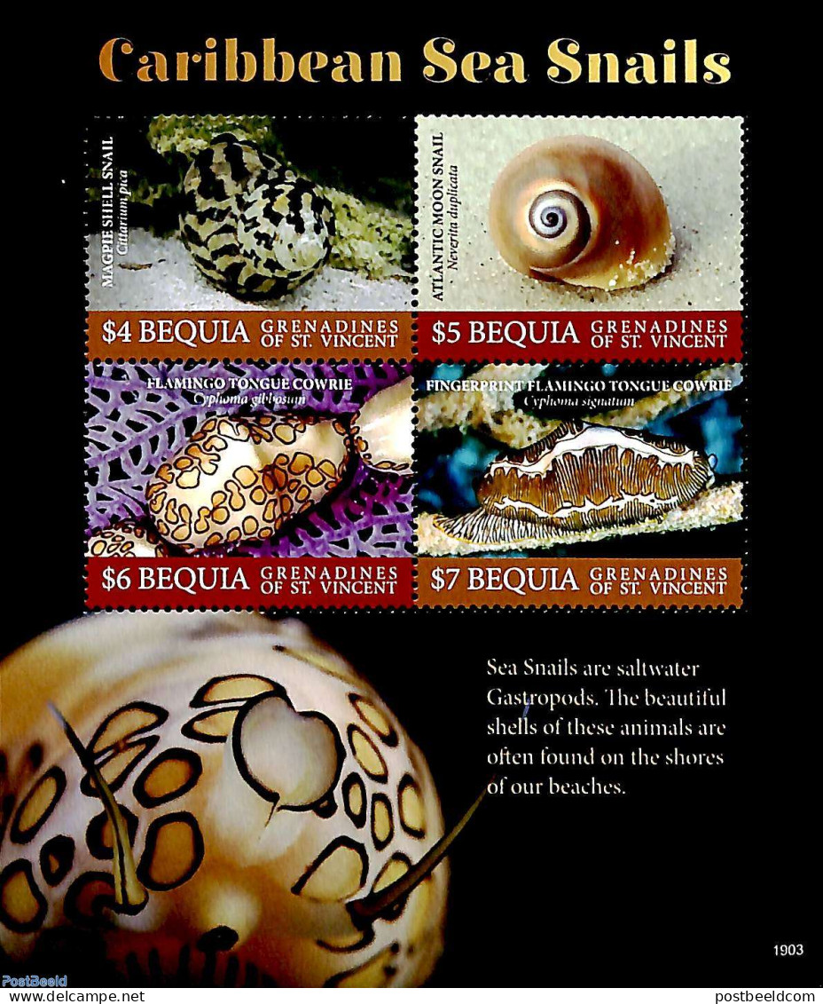 Saint Vincent & The Grenadines 2019 Bequia, Carribean Sea Snails 4v M/s, Mint NH, Nature - Shells & Crustaceans - Marine Life