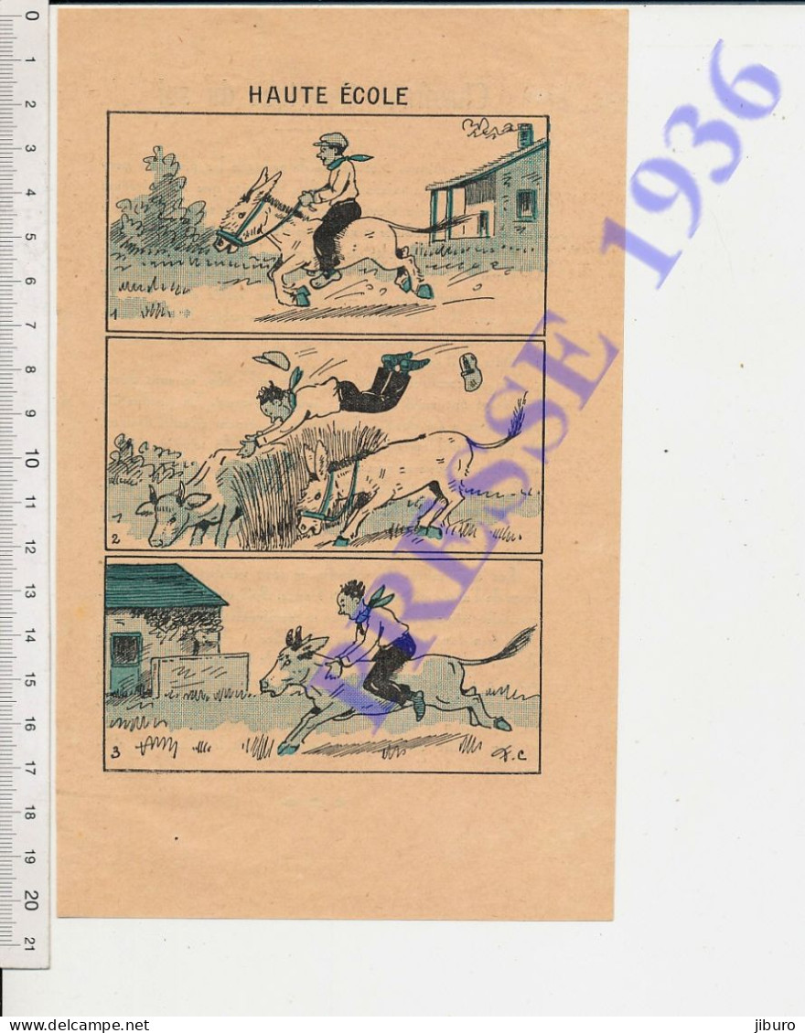 2 Vues 1936 Humour Animal âne Course école équitation + Chauffage électrique Sol Culture Des Concombres Forcage Légumes - Sin Clasificación