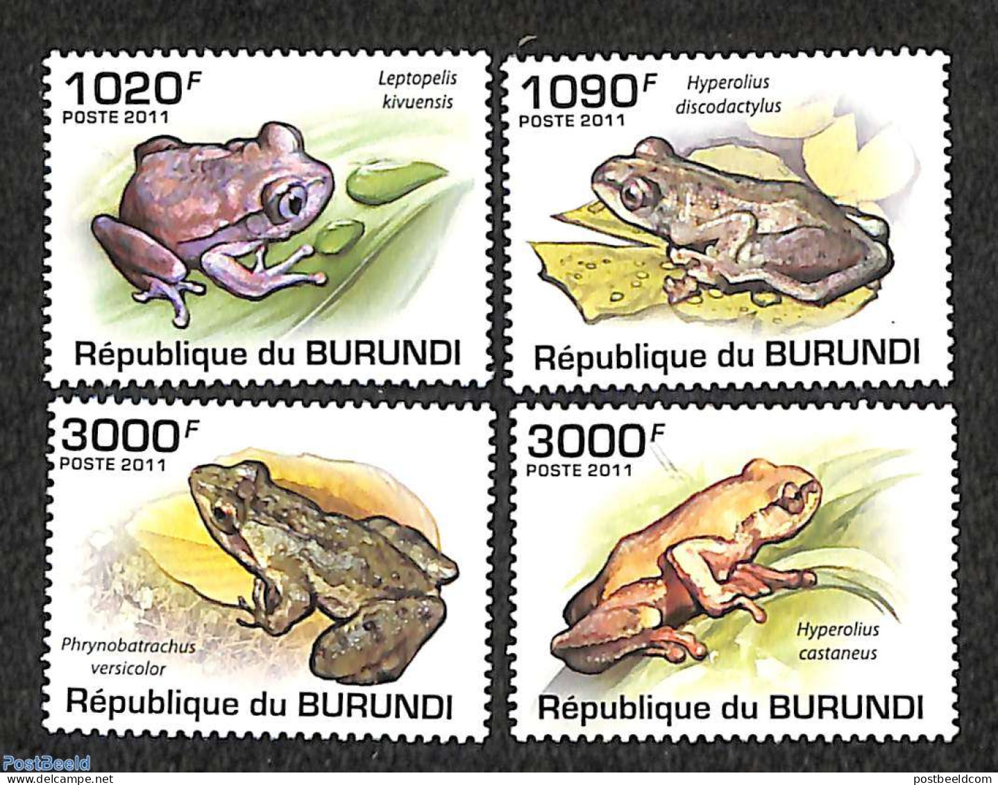 Burundi 2011 Frogs 4v, Mint NH, Nature - Frogs & Toads - Otros & Sin Clasificación