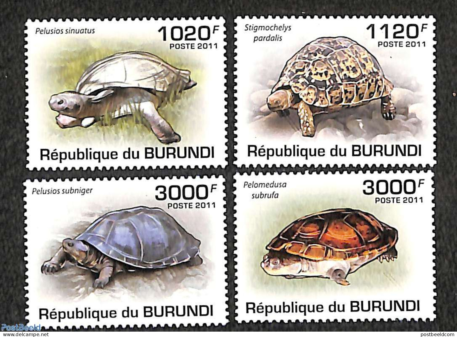 Burundi 2011 Turtles 4v, Mint NH, Nature - Turtles - Otros & Sin Clasificación