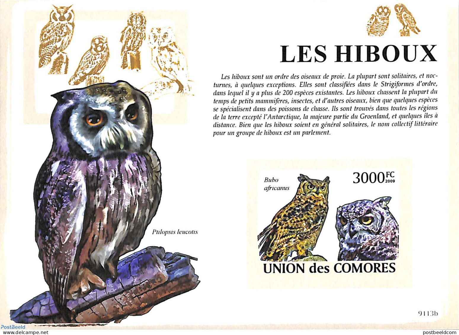 Comoros 2009 Owls S/s, Imperforated, Mint NH, Nature - Birds - Birds Of Prey - Owls - Komoren (1975-...)