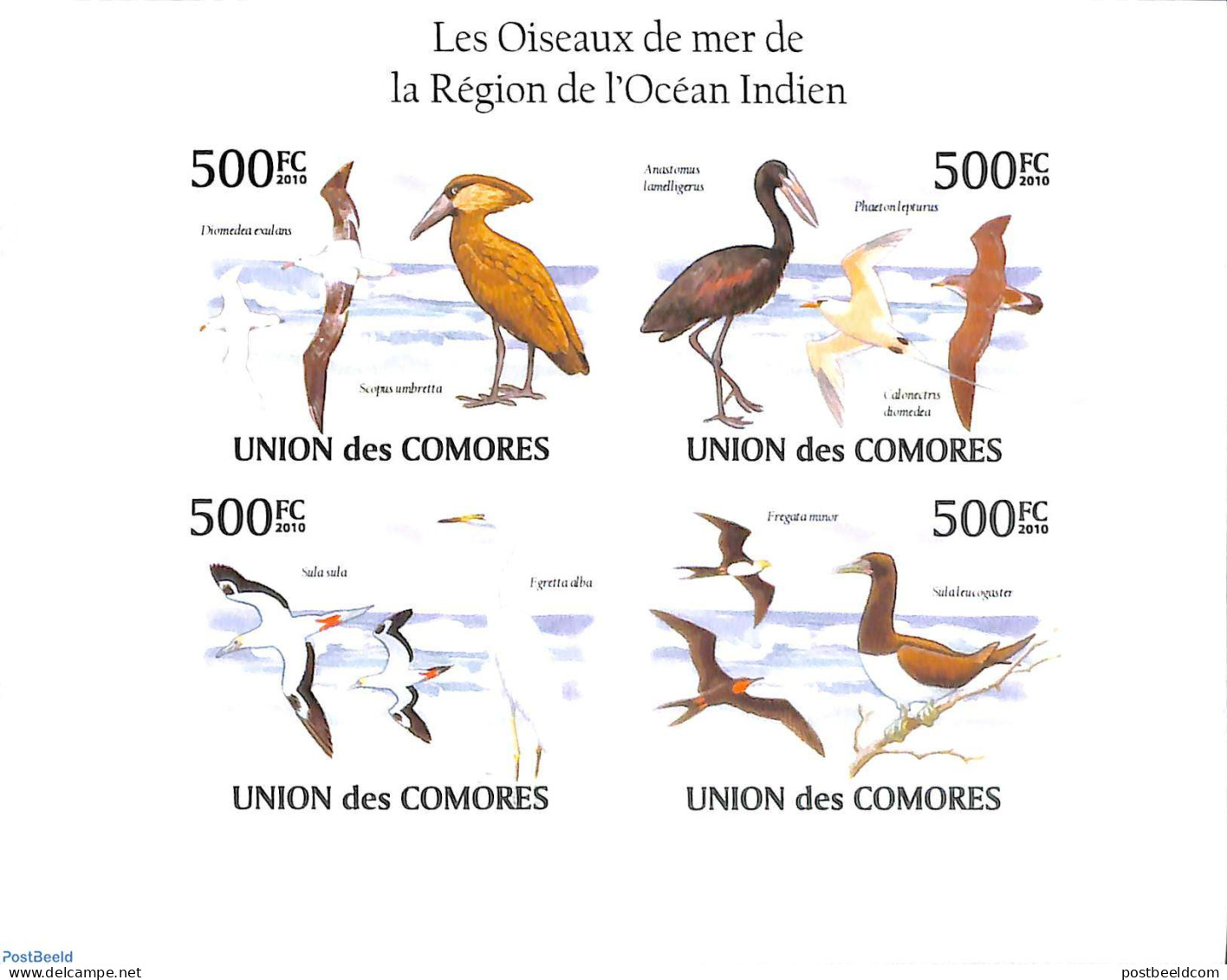 Comoros 2010 Sea Birds 4v M/s, Imperforated, Mint NH, Nature - Birds - Komoren (1975-...)