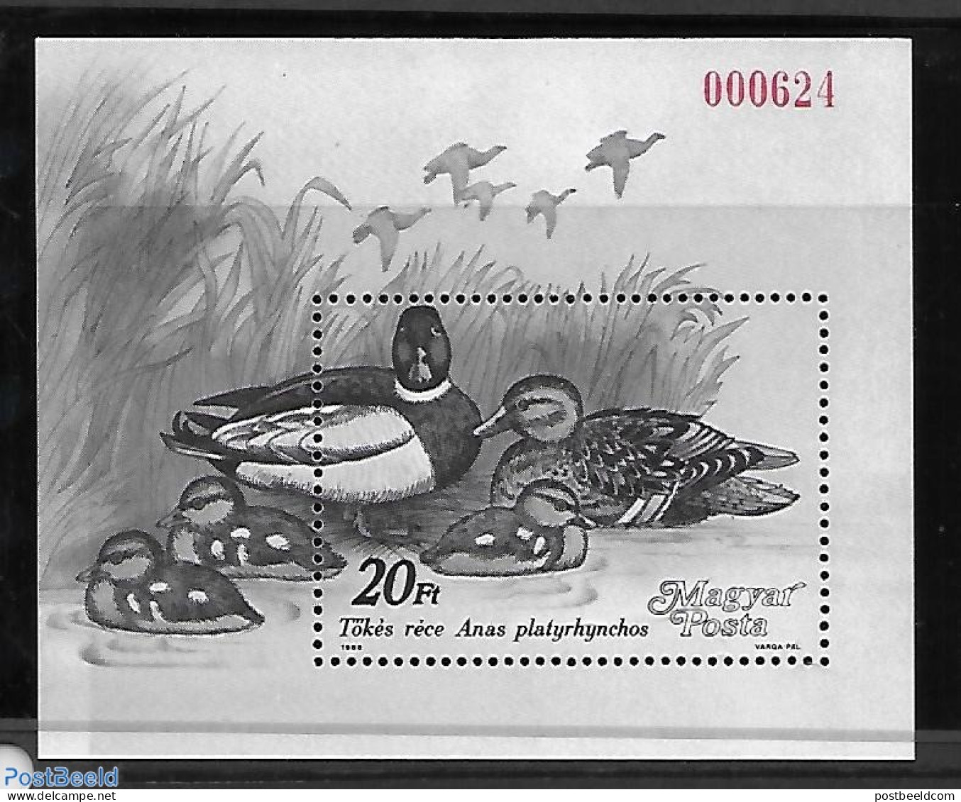 Hungary 1988 Ducks S/s, Blackprint With Red Number!, Mint NH, Nature - Animals (others & Mixed) - Nuovi