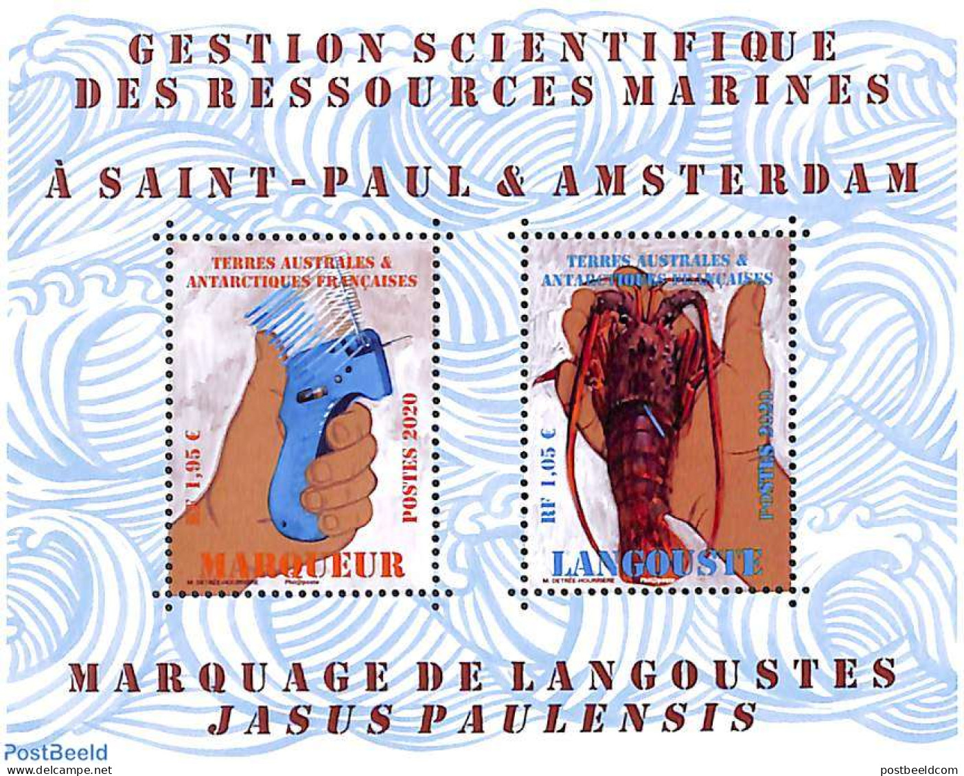 French Antarctic Territory 2020 Langouste Jasus Paulensis S/s, Mint NH, Nature - Shells & Crustaceans - Nuevos