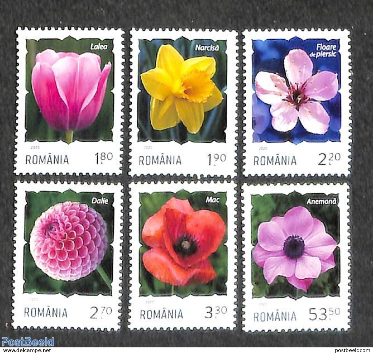 Romania 2020 Flowers 6v, Mint NH, Nature - Flowers & Plants - Unused Stamps