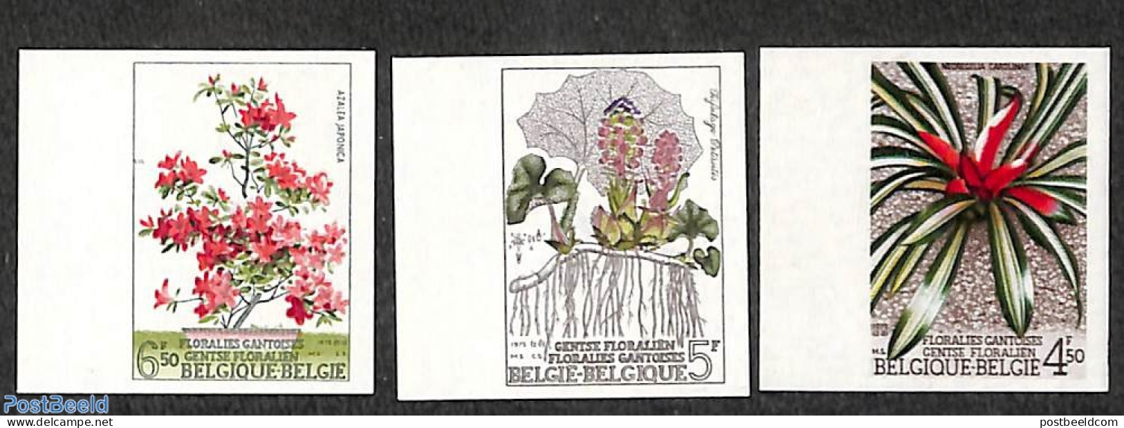 Belgium 1975 Flowers Show 3v, Imperforated, Mint NH, Nature - Flowers & Plants - Neufs