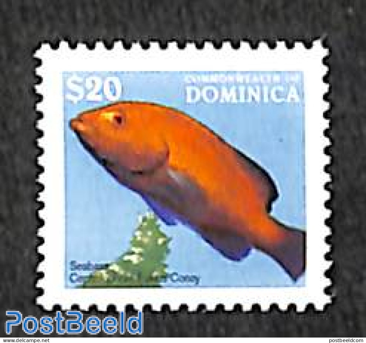 Dominica 1997 20$, Stamp Out Of Set, Mint NH, Nature - Fish - Poissons