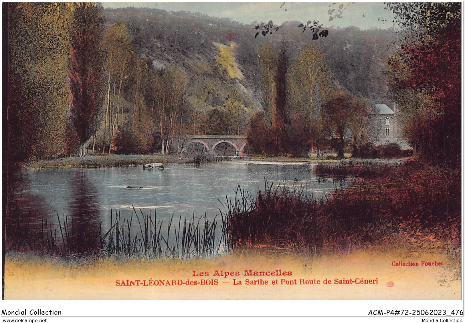 ACMP4-72-0302 - Les Alpes Mancelles - SAINT-LEONARD-DES-BOIS - La Sarthe Et Pont Route De Saint-céneri - Saint Leonard Des Bois