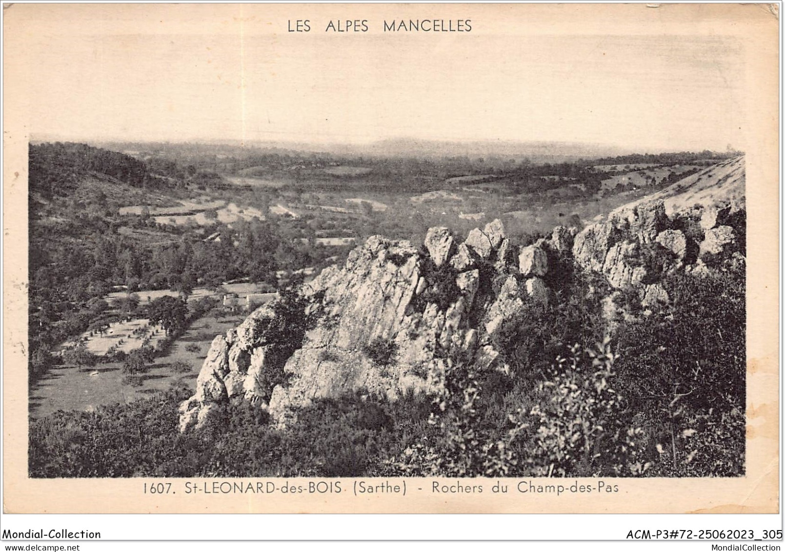 ACMP3-72-0216 - SAINT-LEONARD-DES-BOIS - Rochers Du Champ-des-pas - Saint Leonard Des Bois