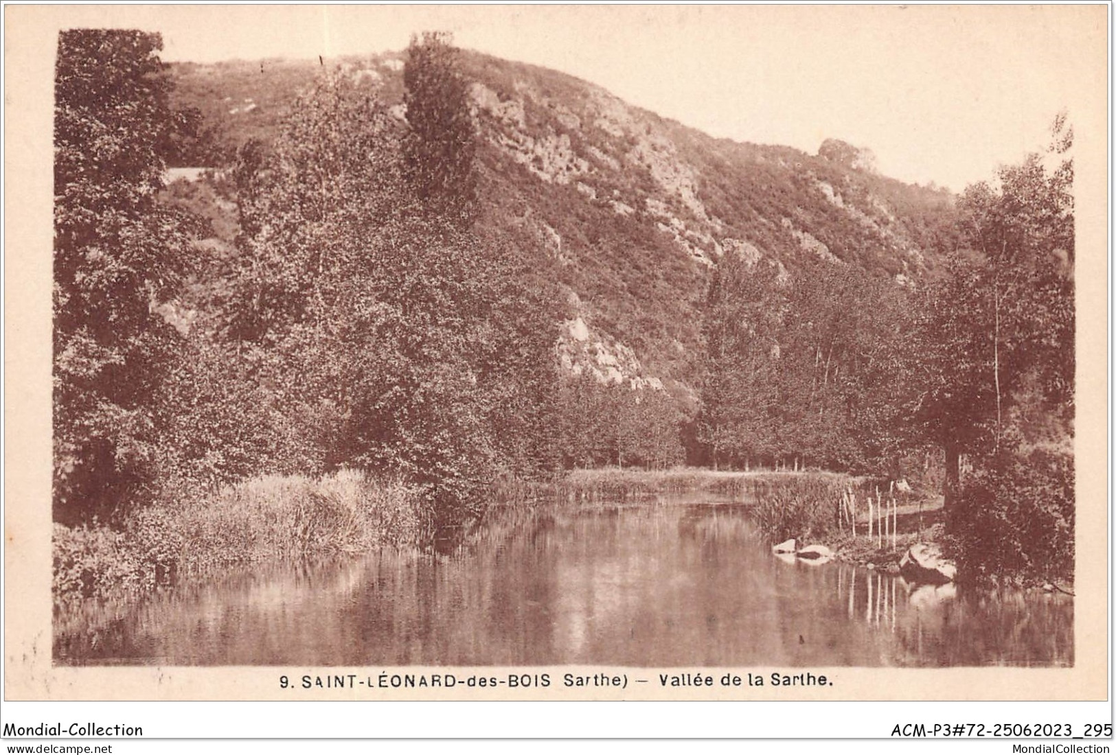 ACMP3-72-0211 - SAINT-LEONARD-DES-BOIS - Vallée De La Sarthe - Saint Leonard Des Bois