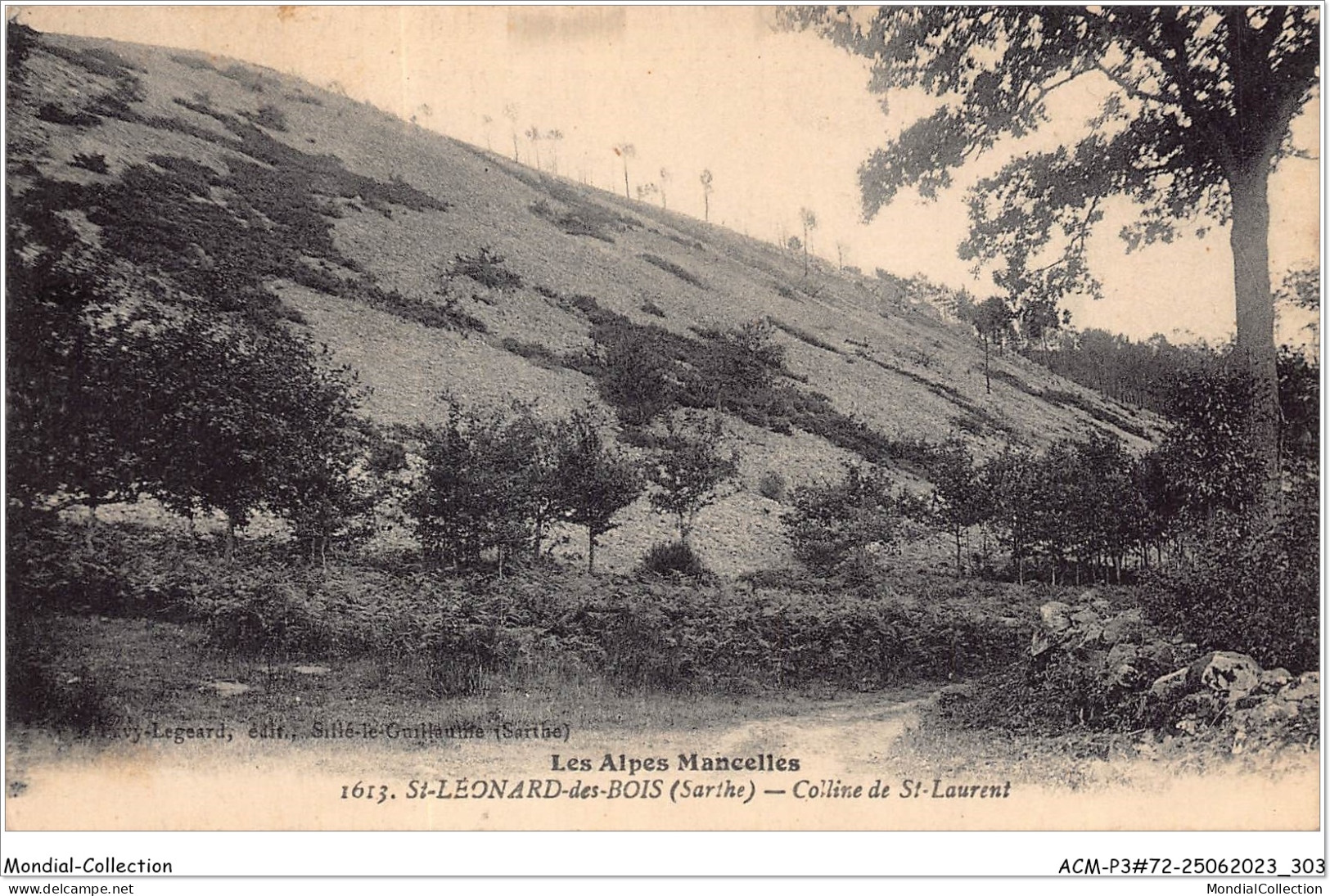 ACMP3-72-0215 - SAINT-LEONARD-DES-BOIS - Colline De Saint-laurent - Saint Leonard Des Bois