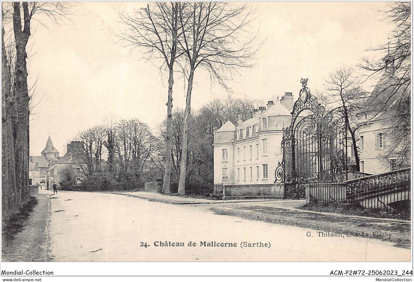 ACMP2-72-0123 - Château De MALICORNE - Malicorne Sur Sarthe