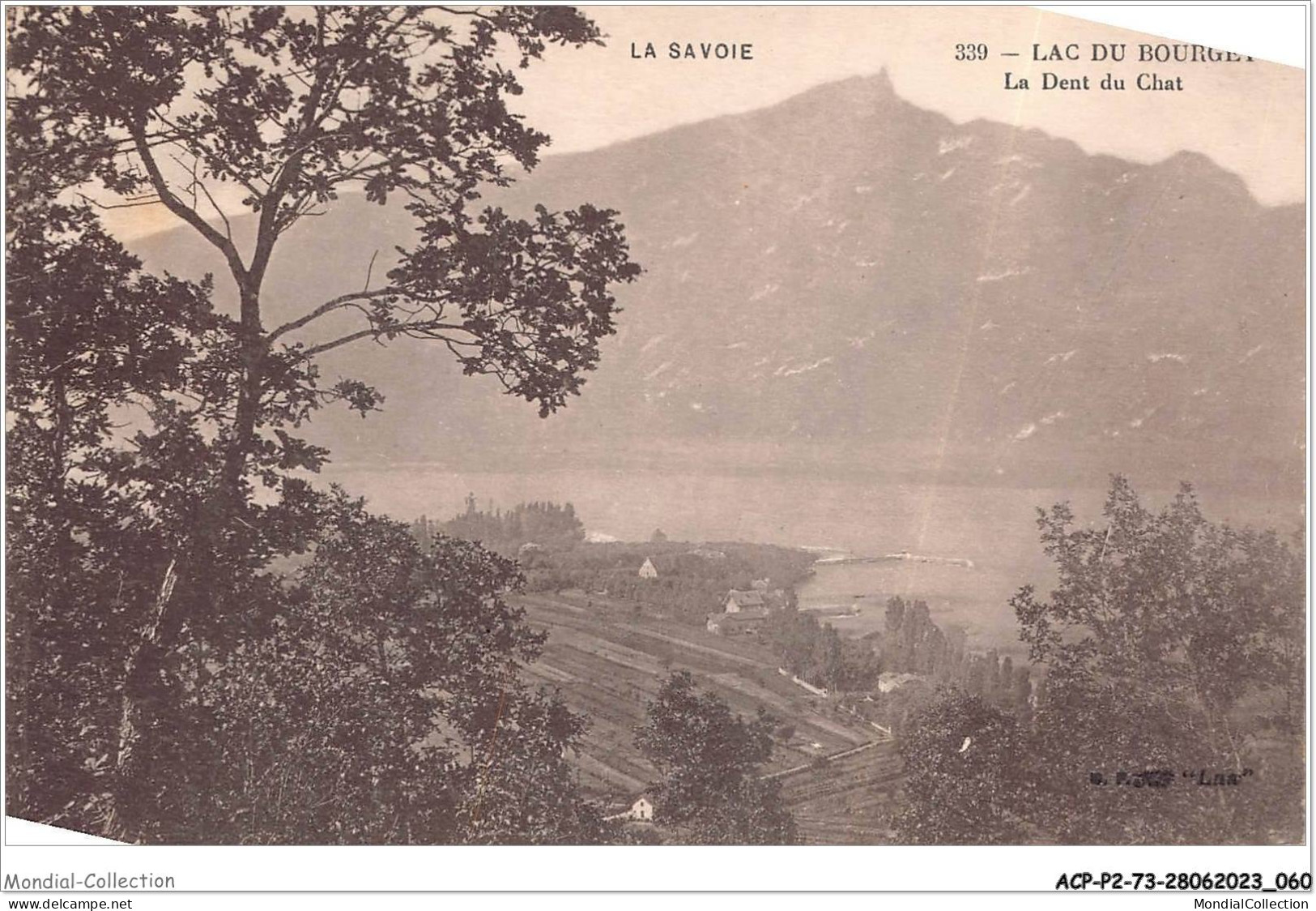 ACPP2-73-0122 - LAC DU BOURGET - La Dent Du Chat - Le Bourget Du Lac