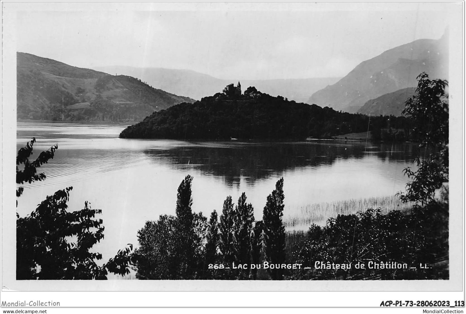 ACPP1-73-0058 - LE LAC BOURGET - Chateau De Chatillon - Le Bourget Du Lac