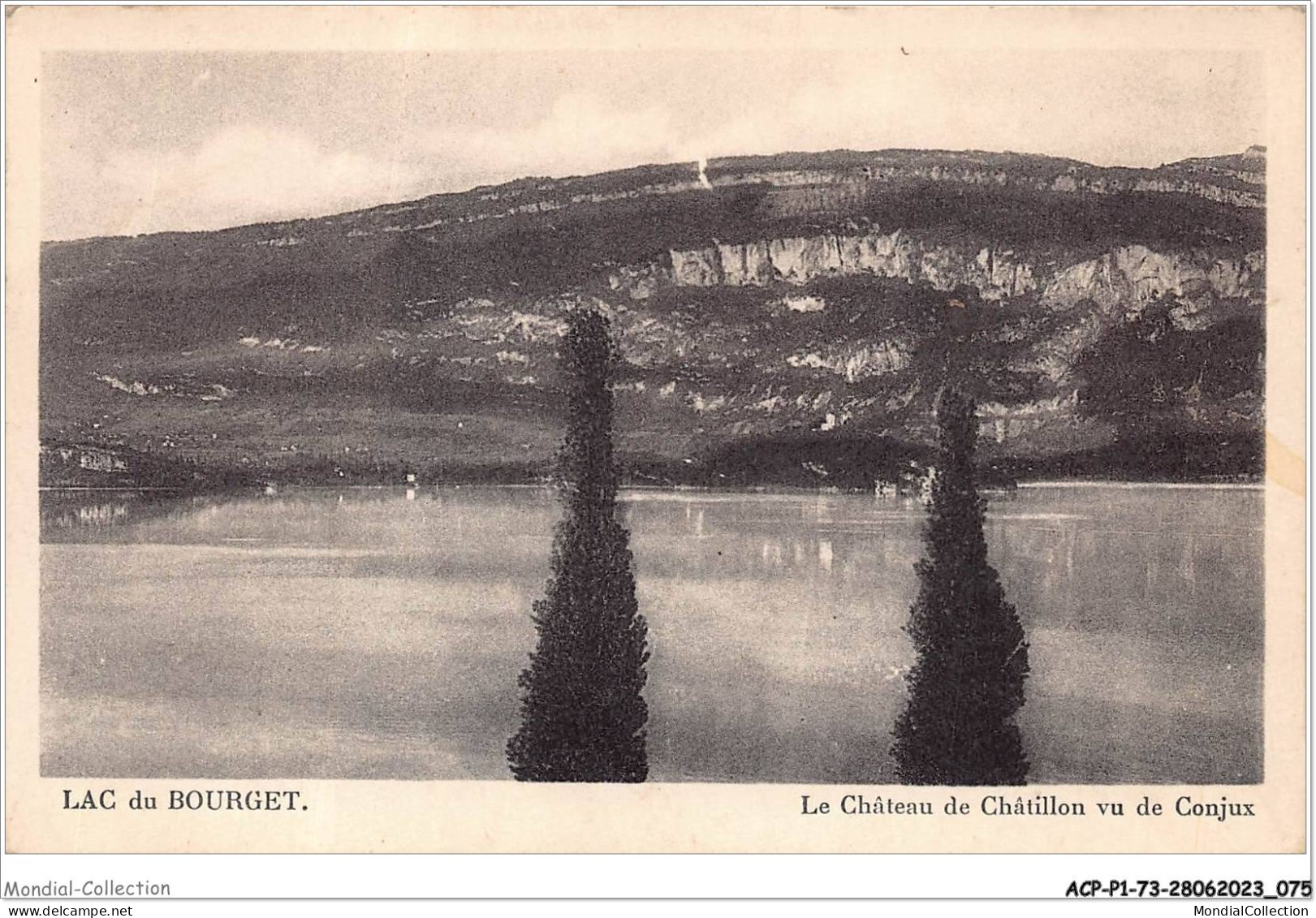 ACPP1-73-0039 - LE LAC BOURGET - Le Chateau De Chatillon Vu De Conjux - Le Bourget Du Lac