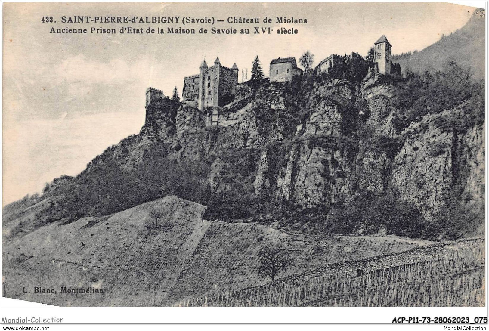 ACPP11-73-0974 - SAINT-PIERRE-D'ALBIGNY -  Chateau De Miolans - Ancienne Prison D'etat De La Maison De Savoie Au XVe S - Saint Pierre D'Albigny