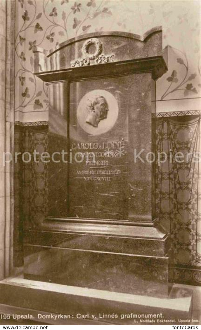 42613095 Upsala Domkyrkan Carl Linnes Monument - Altri & Non Classificati