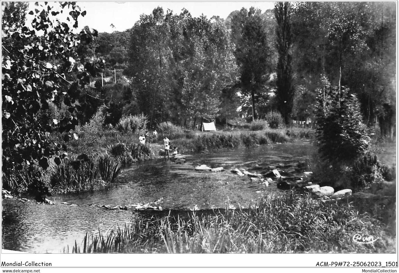 ACMP9-72-0817 - Les Alpes Mancelles - SAINT-LEONARD-DES-BOIS - Le Chapelet Sur La Sarthe - Saint Leonard Des Bois