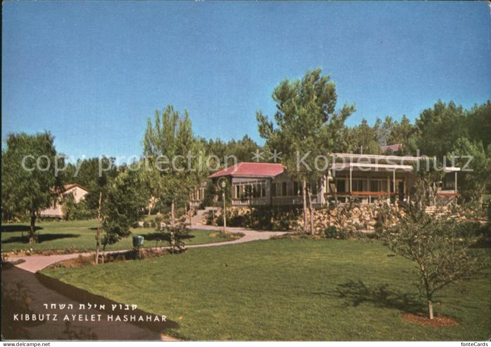 42588084 Kibbutz Ayelet Hashahar Kibbutz Ginosar - Israele