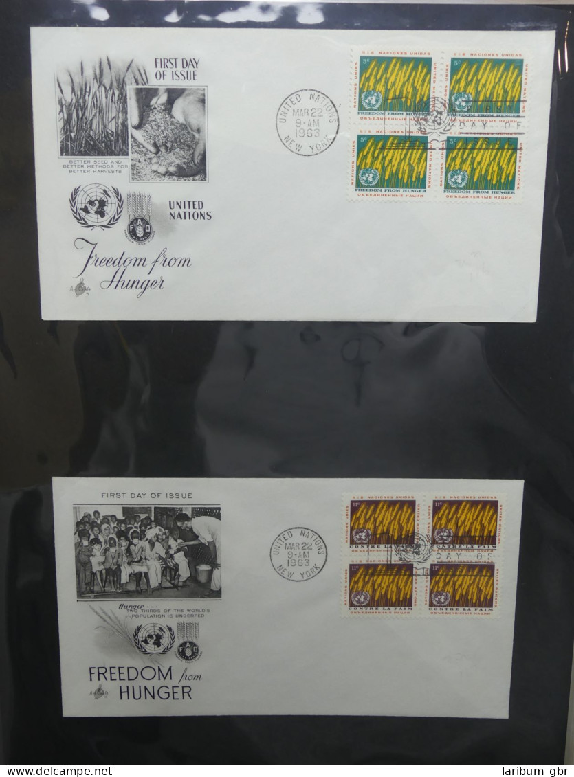 Vereinte Nationen New York FDCs ab 1951 besammelt im Ring Binder #LY662