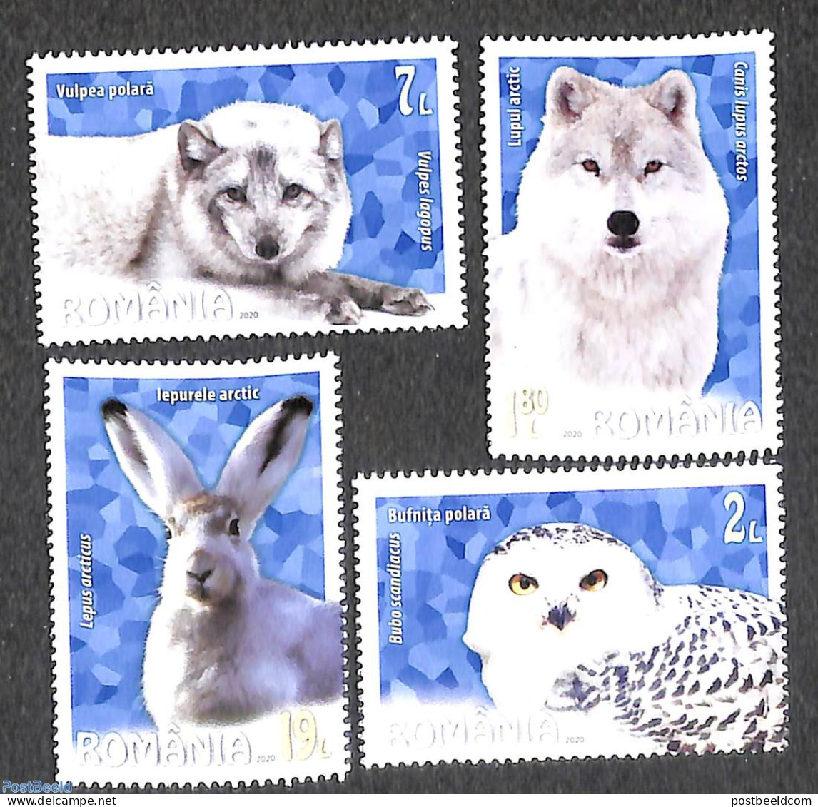 Romania 2020 Arctic Animals 4v, Mint NH, Nature - Animals (others & Mixed) - Birds - Birds Of Prey - Owls - Rabbits / .. - Unused Stamps