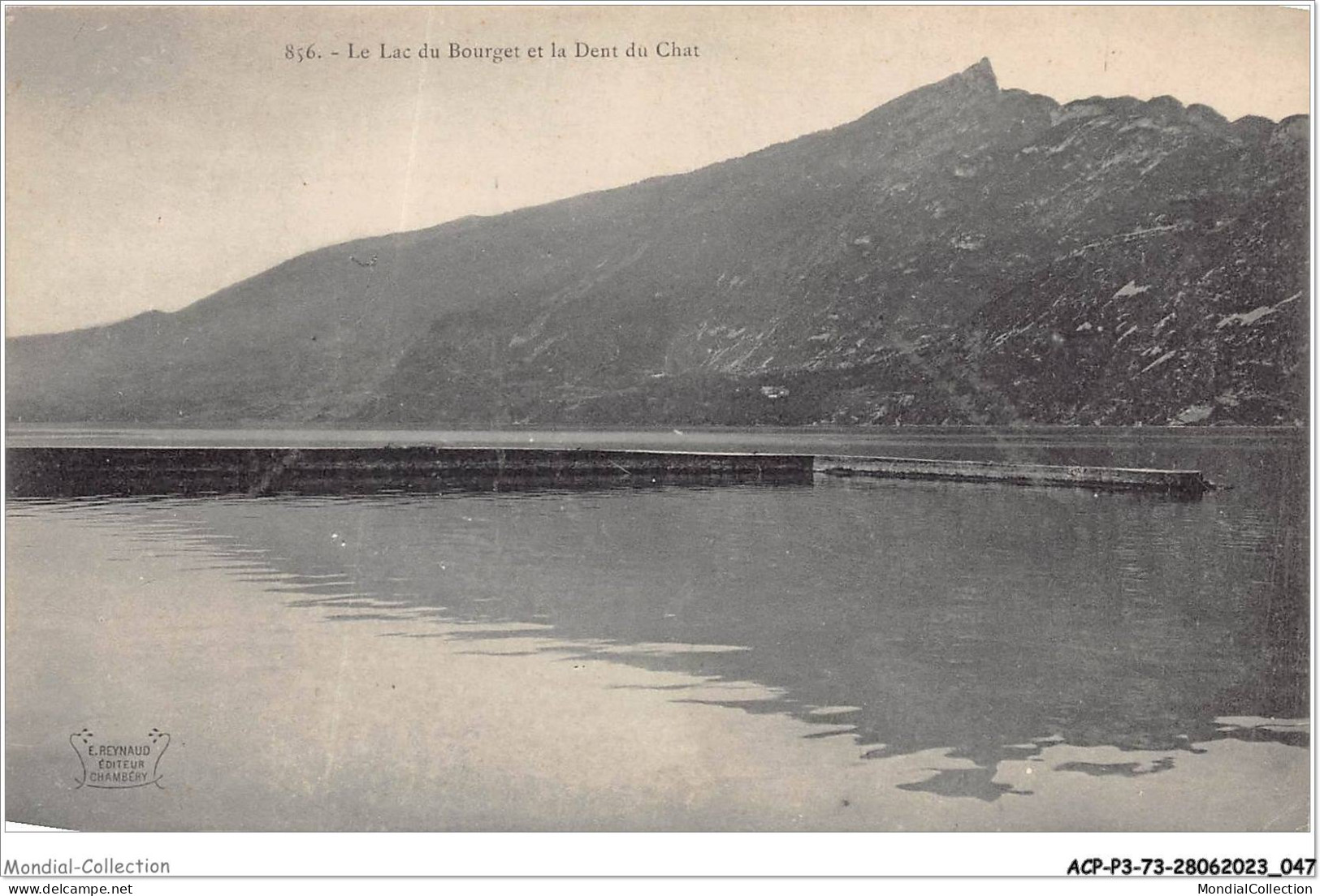 ACPP3-73-0210 - LE LAC DU BOURGET Et La Dent Du Chat - Le Bourget Du Lac