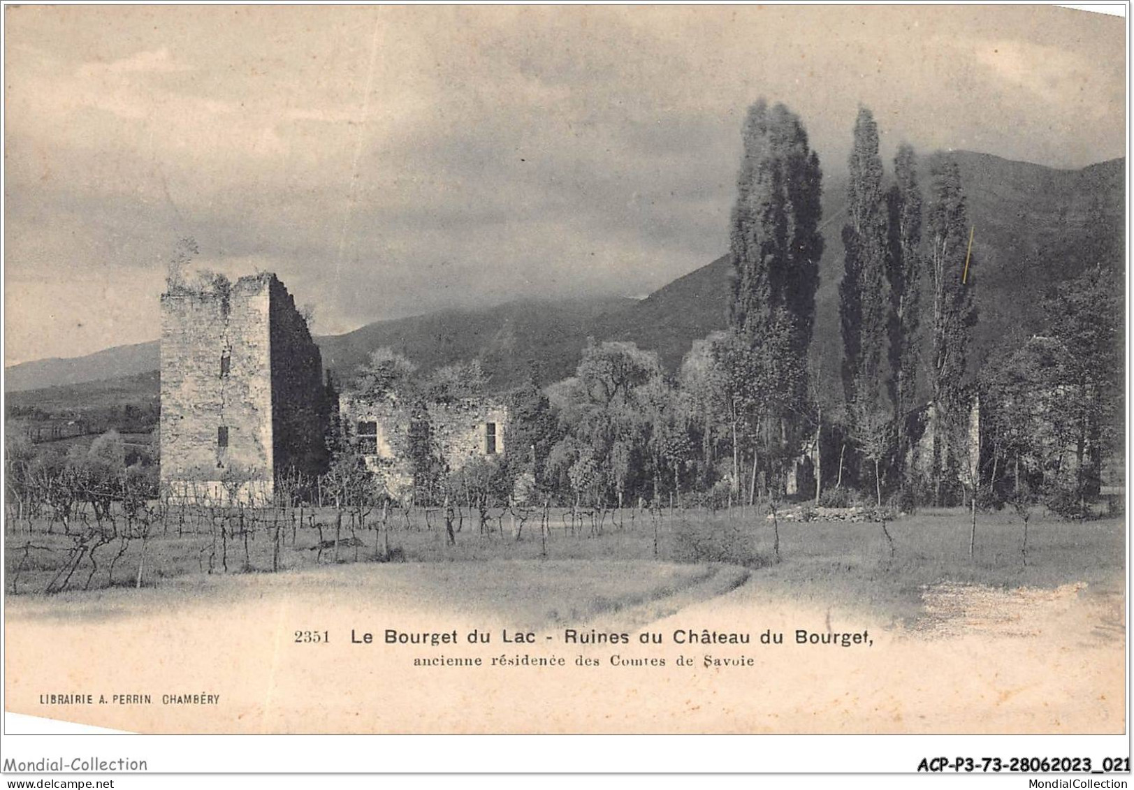 ACPP3-73-0197 - LE BOURGET-DU-LAC  - Ruines Du Chateau Du Bourget - Le Bourget Du Lac