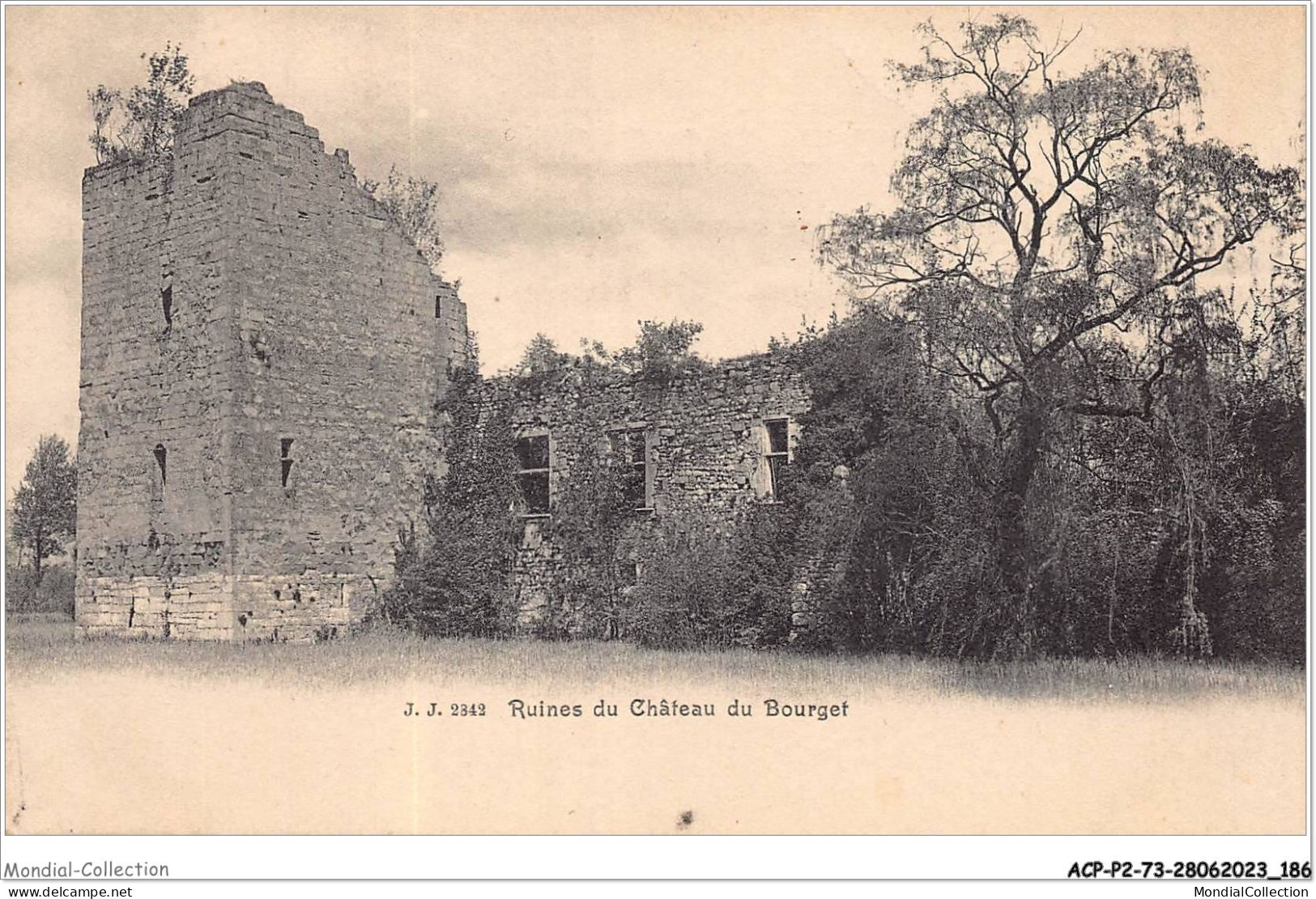 ACPP2-73-0185 - Ruines Du Chateau Du BOURGET - Le Bourget Du Lac