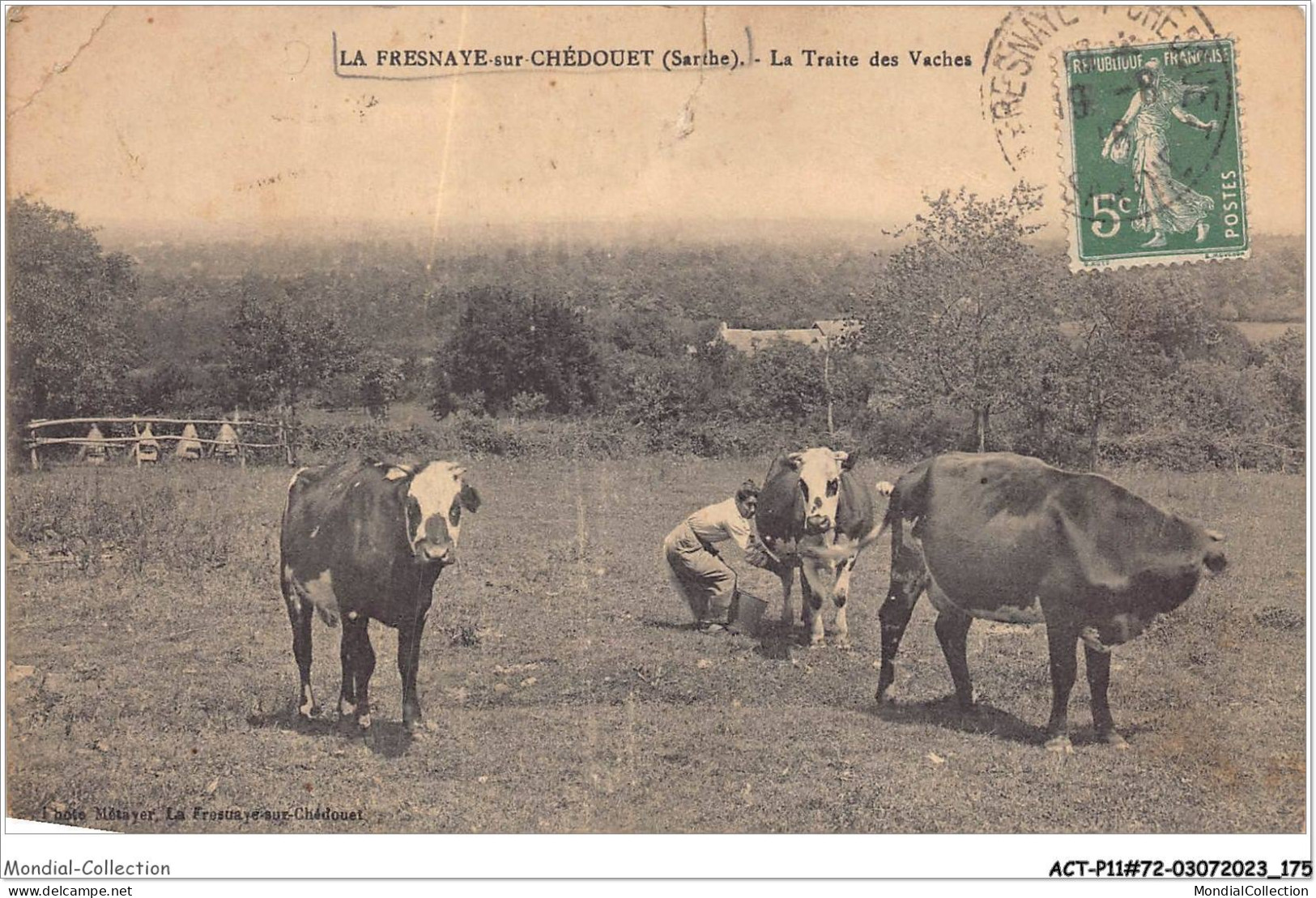ACTP11-72-1101 - LA FRESNAYE-SUR-CHEDOUET - La Traite Des Vaches ETAT - La Fresnaye Sur Chédouet