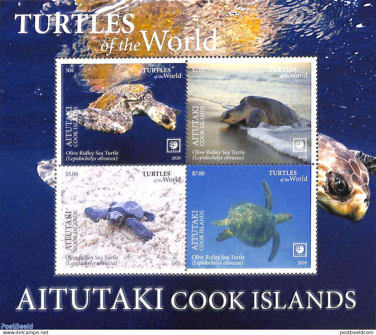 Aitutaki 2020 Turtles 4v M/s, Mint NH, Nature - Reptiles - Turtles - Aitutaki