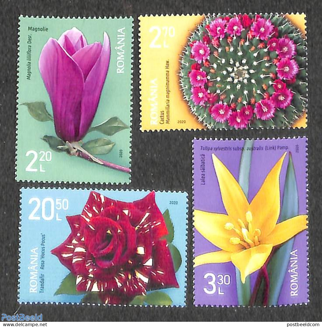 Romania 2020 Botanical Garden 4v, Mint NH, Nature - Flowers & Plants - Ungebraucht