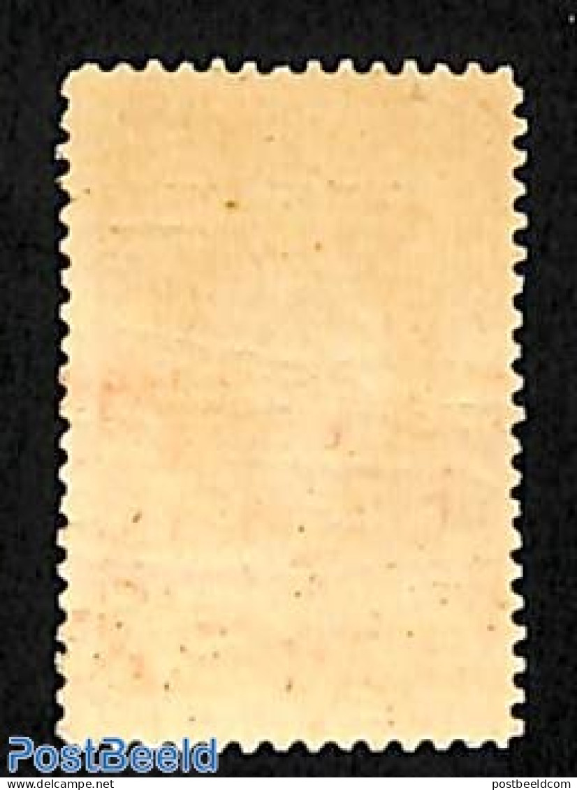 Netherlands 1913 10 Gulden, Almost MNH , Unused (hinged) - Unused Stamps