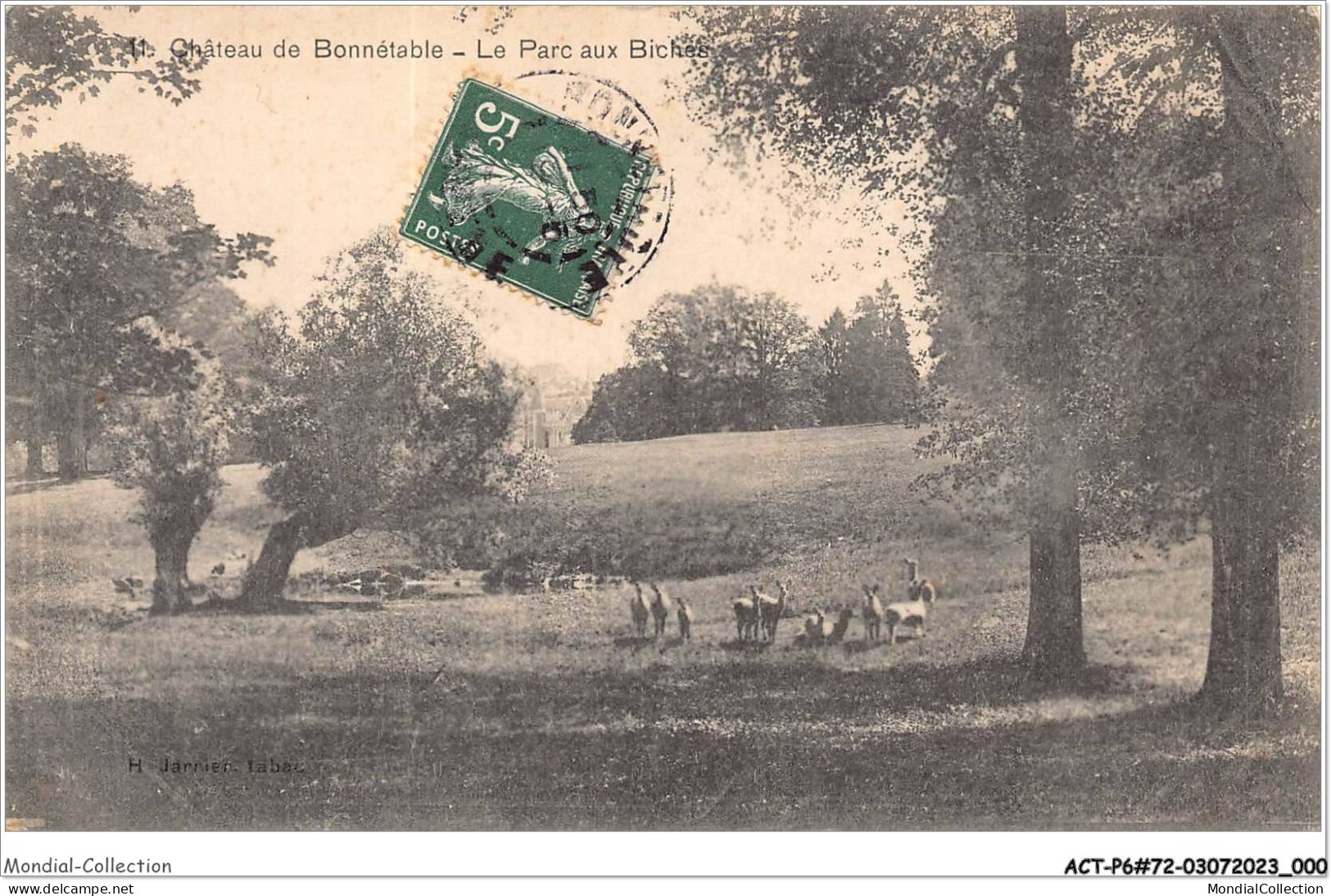 ACTP6-72-0494 - CHATEAU DE BONNETABLE - Le Parc Aux Biches - Bonnetable