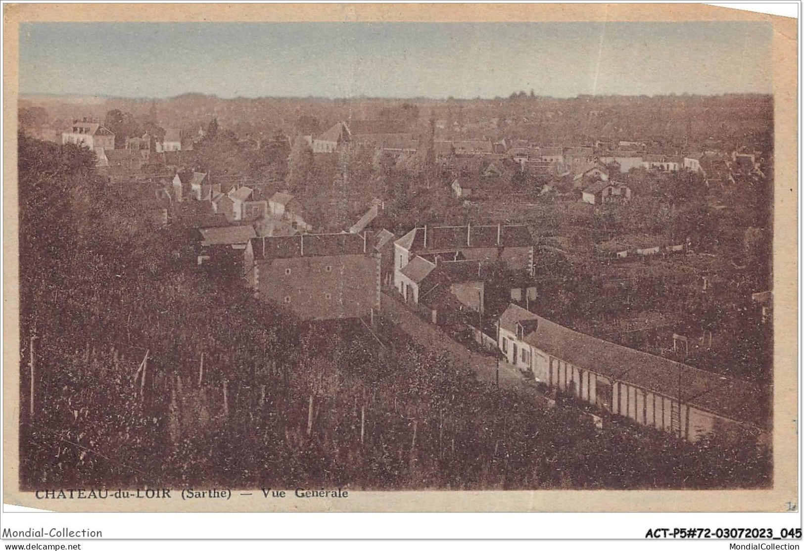 ACTP5-72-0409 - CHATEAU-DU-LOIR - Vue Générale - Chateau Du Loir