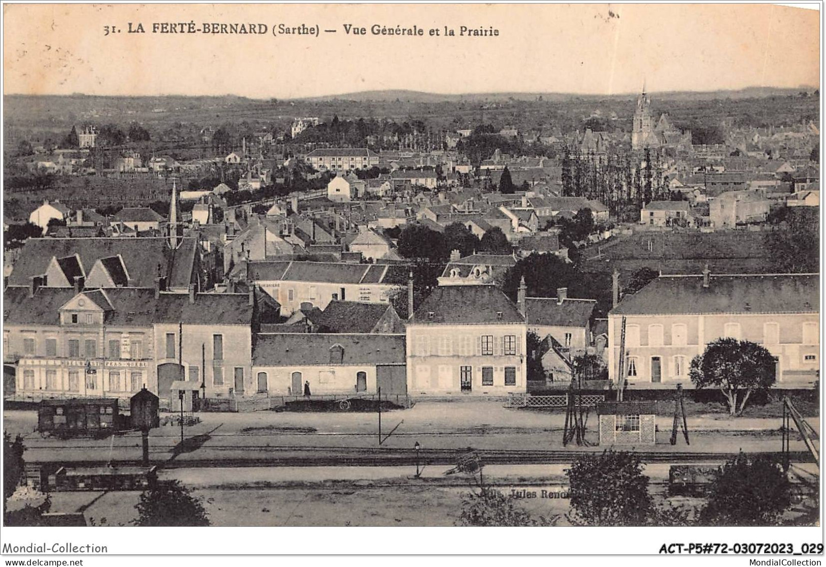 ACTP5-72-0401 - LA FERTE-BERNARD - Vue Générale Et La Prairie - La Ferte Bernard