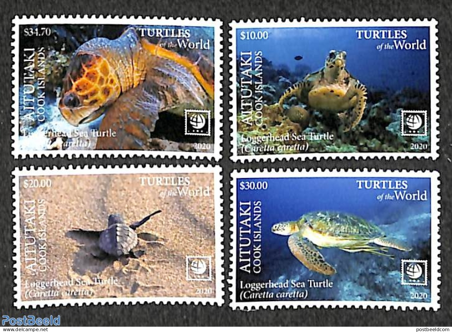 Aitutaki 2020 Turtles 4v, Mint NH, Nature - Turtles - Aitutaki