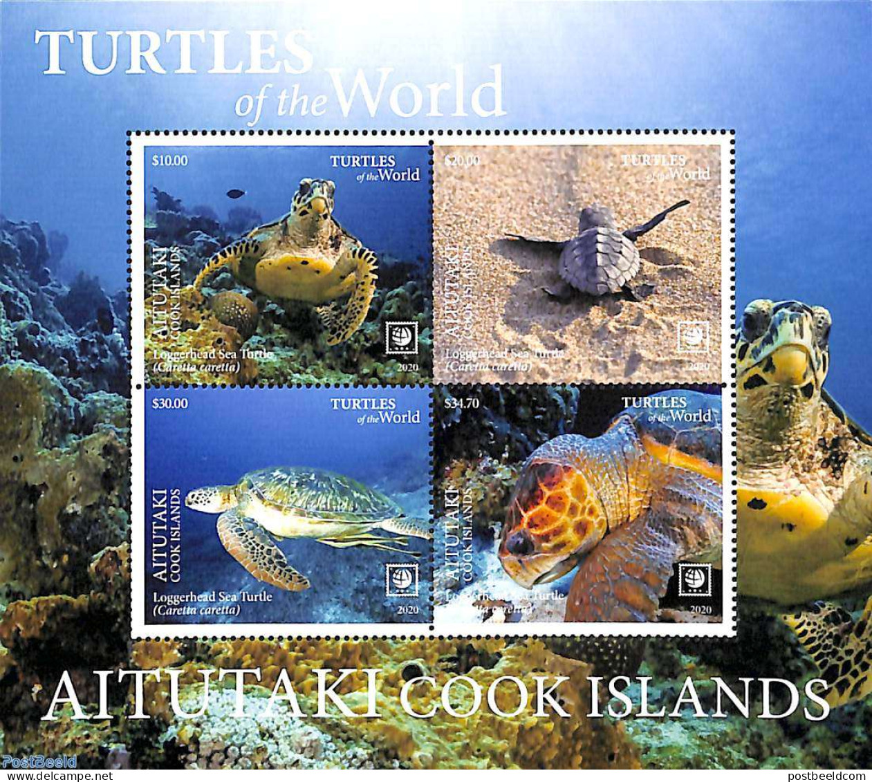 Aitutaki 2020 Turtles 4v M/s, Mint NH, Nature - Turtles - Aitutaki