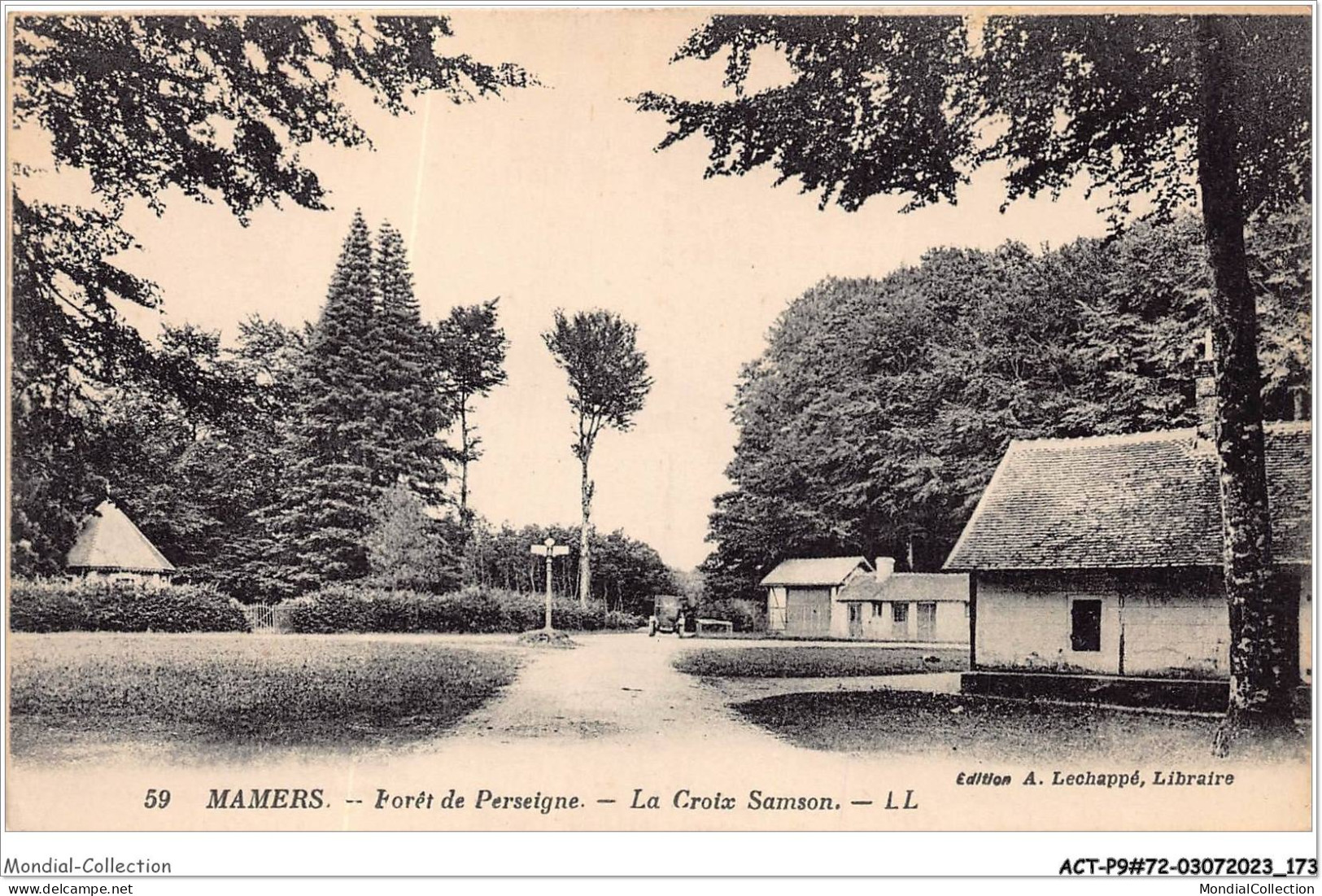 ACTP9-72-0886 - MAMERS - Forêt De Perseigne - La Croix Samson - Mamers