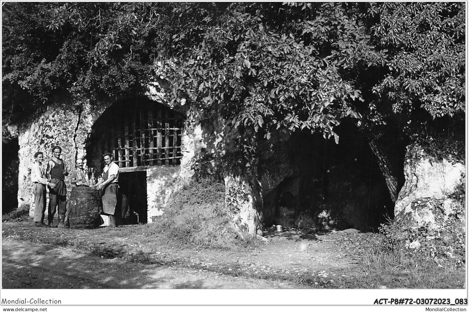 ACTP8-72-0741 - VOUVRAY-SUR-LOIR - Les Caves Dans Le Roc - Chateau Du Loir