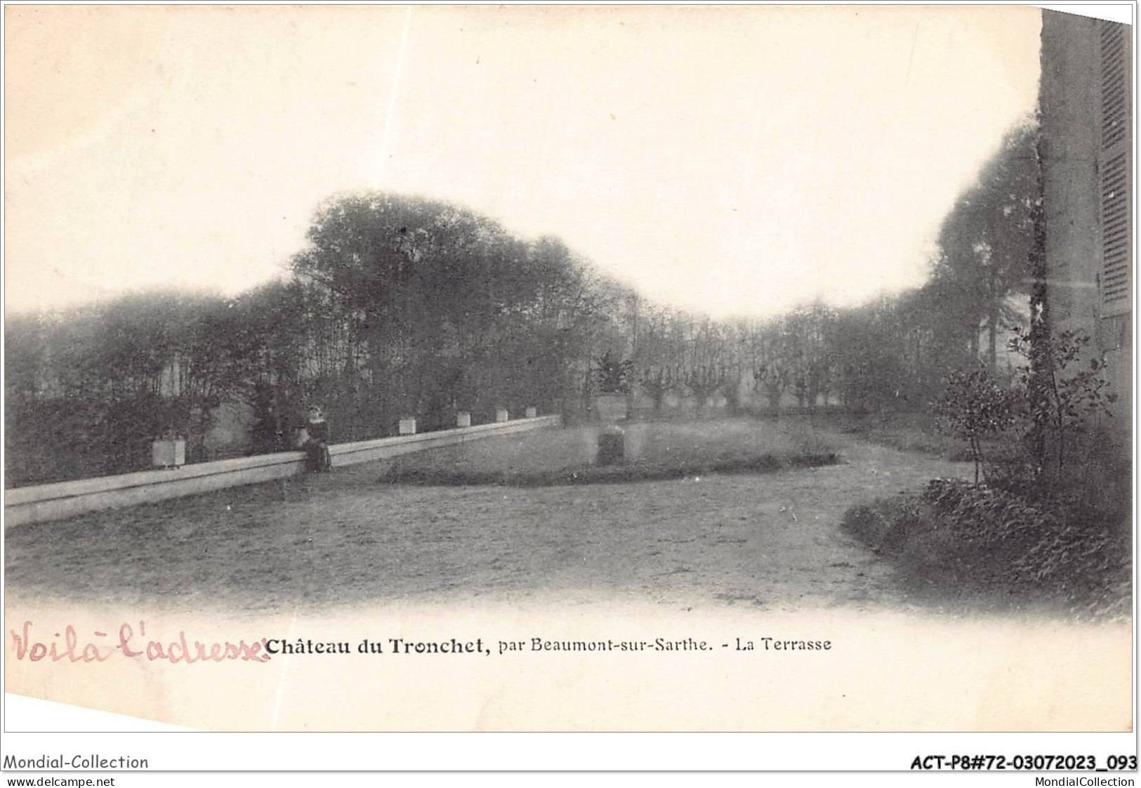 ACTP8-72-0746 - BEAUMONT-SUR-SARTHE - Château Du Tronchet - La Terasse - Beaumont Sur Sarthe