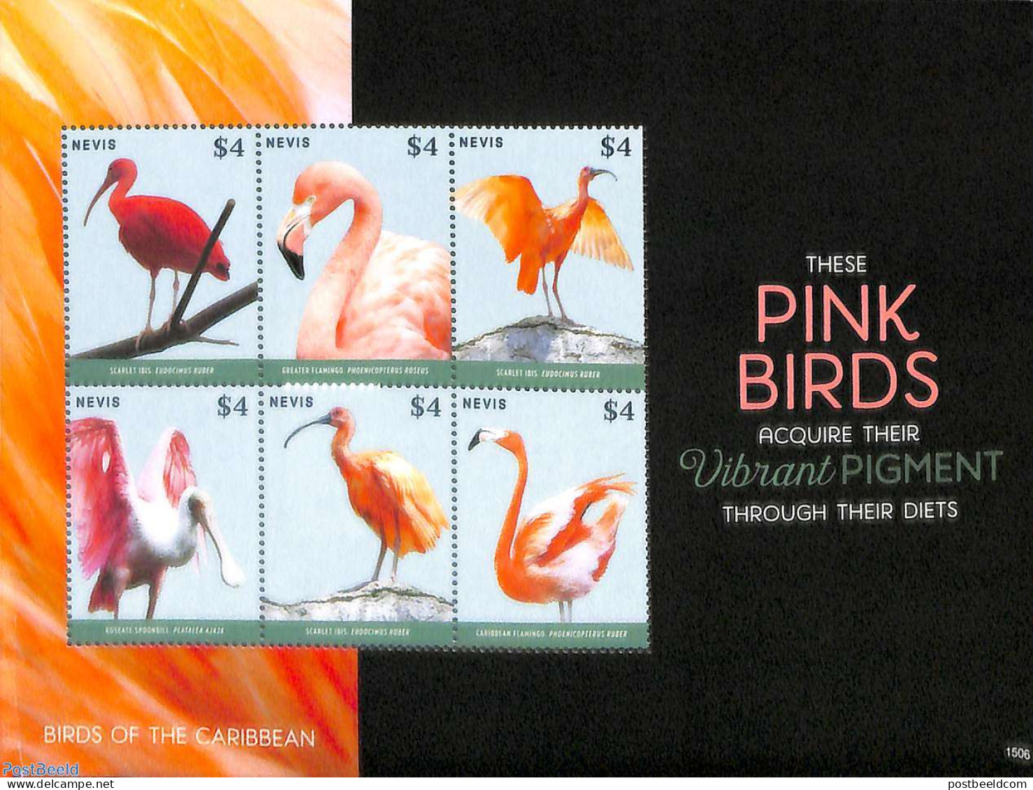 Nevis 2015 Pink Birds 6v M/s, Mint NH, Nature - Birds - St.Kitts-et-Nevis ( 1983-...)