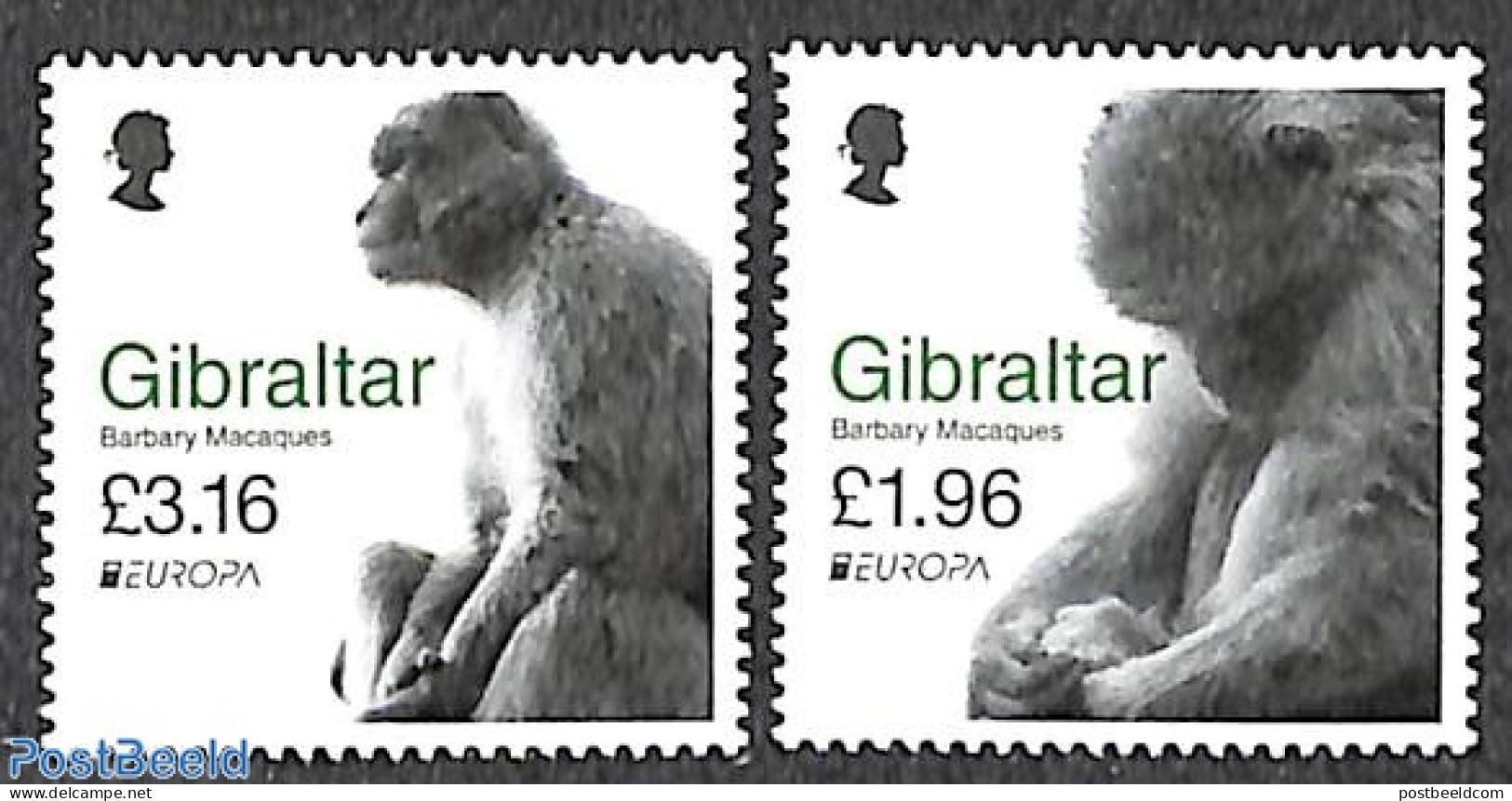 Gibraltar 2021 Europa, Endangered Animals 2v, Mint NH, History - Nature - Europa (cept) - Animals (others & Mixed) - M.. - Gibraltar