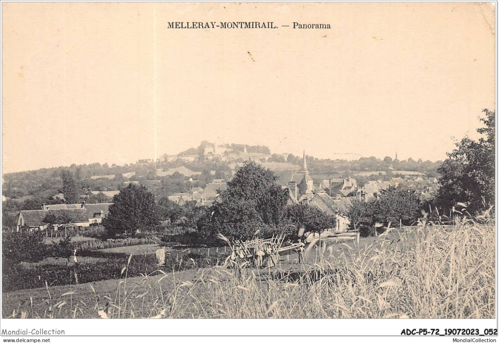 ADCP5-72-0433 - MELLERAY-MONTMIRAIL - Panorama  - Montmirail