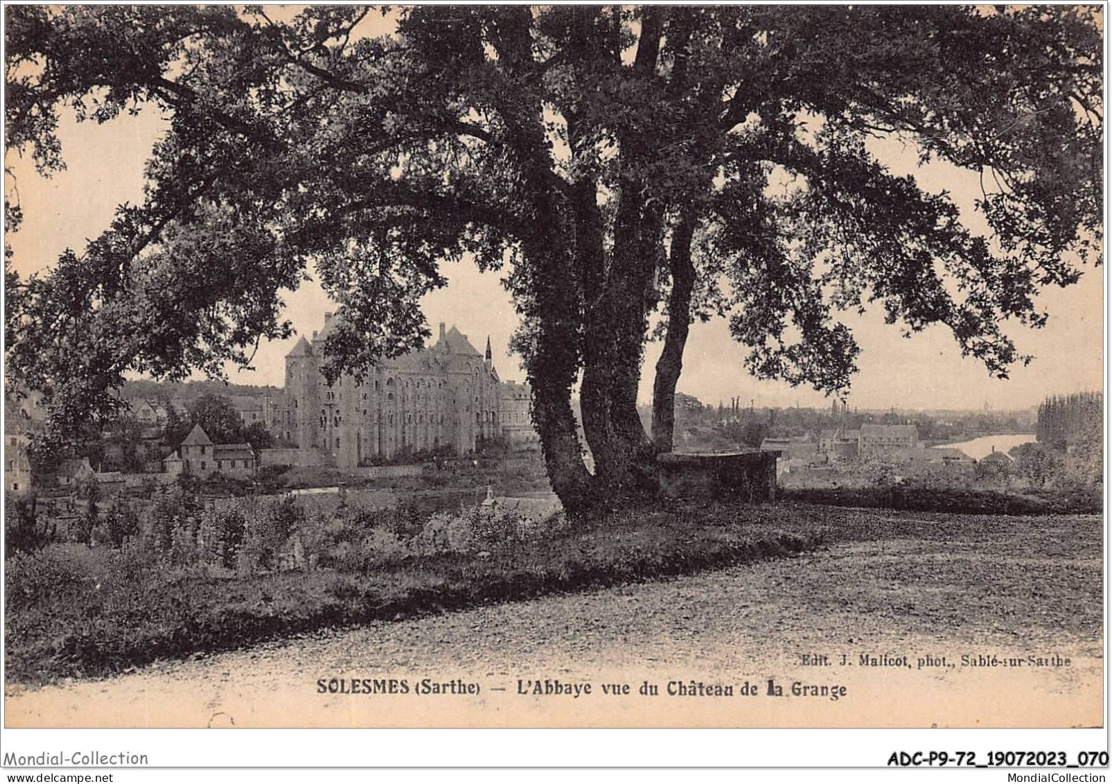 ADCP9-72-0845 - SOLESMES - L'abbaye Vue Du Château De La Grange  - Solesmes